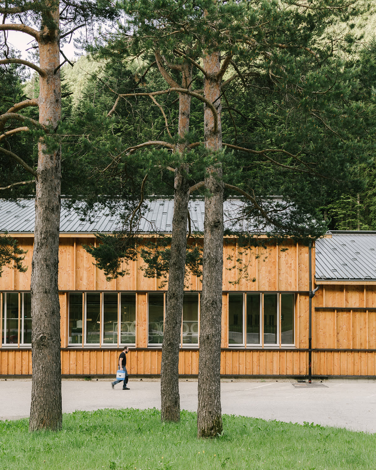 Construction, menuiserie et bois local John Sauvajon