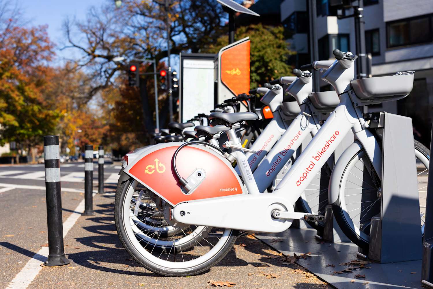 No people. Bikes in a CaBi station in fall (Washington, DC) 