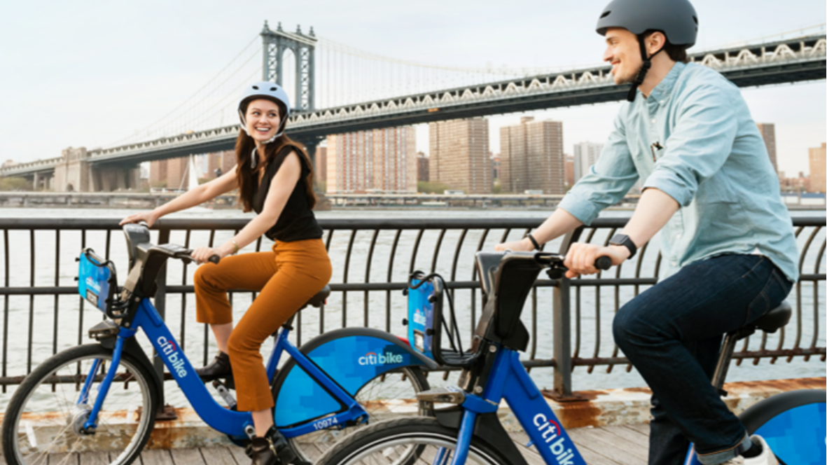 everyday ebike costco