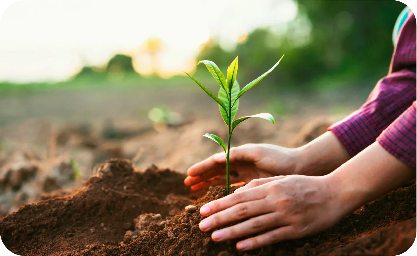 LANDING EMERGENCIA INCENDIOS-51