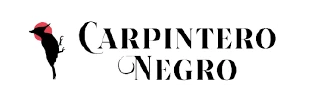 Carpintero Negro