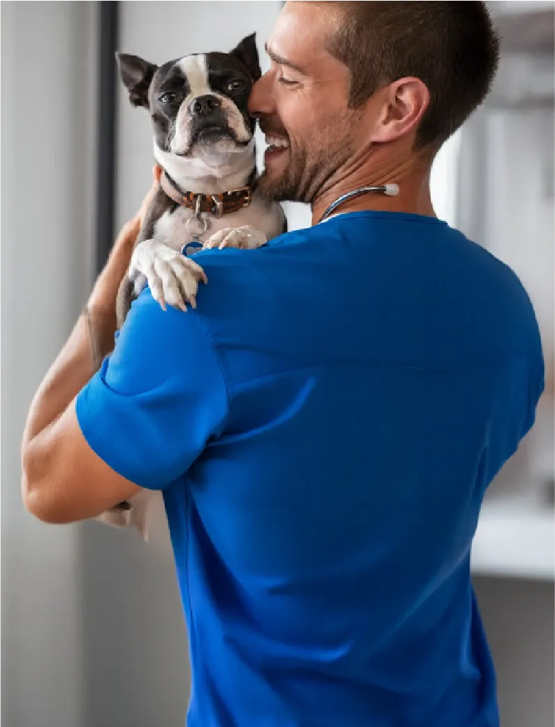 Hasta 40% dcto en Petvet