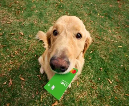 Paga tu Tarjeta CMR-1