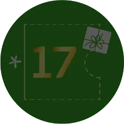 Landing Calendario de Adviento Número 17 copia 2