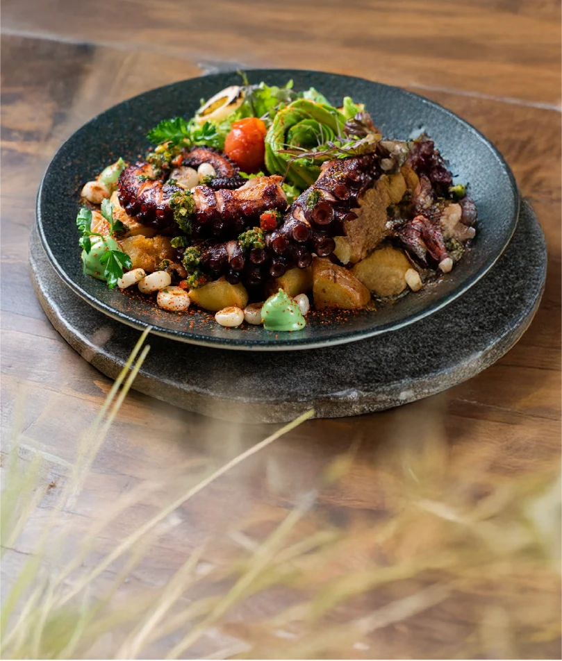 Imagen de Mirador Gourmet