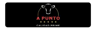 logo-Carnes a Punto