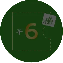 Landing Calendario de Adviento Número 6 copia 2