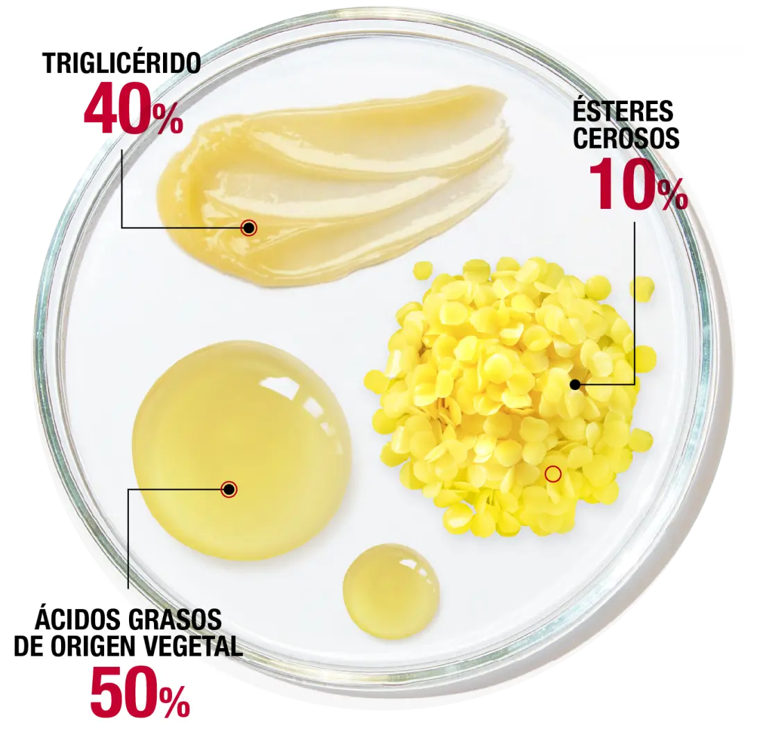 Triglicérido 40% - Ésteres cerosos 10% - Ácidos grasos de origen vegetal 50%