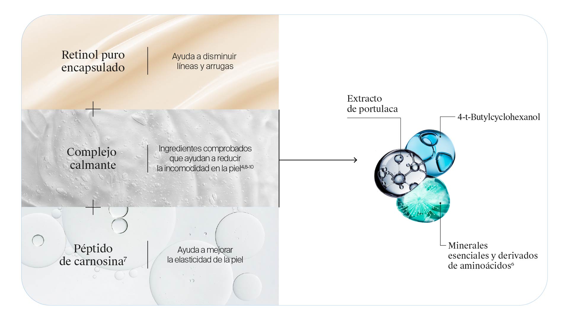 INGREDIENTES