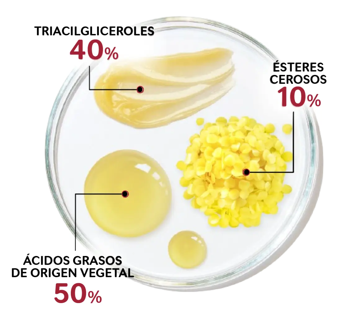 Triacilgliceroles 40% - Ésteres cerosos 10% - Ácidos grasos de origen vegetal 50%