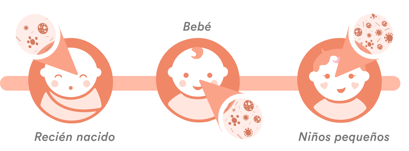 ilustracion-primeros-anos