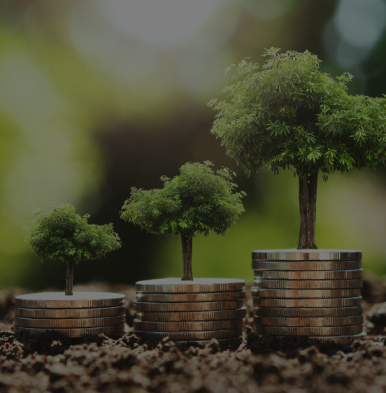 Indian Global Giant Case study BG