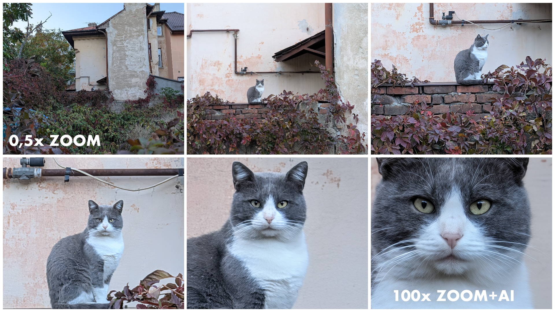 colaj foto pixel cats1 copy