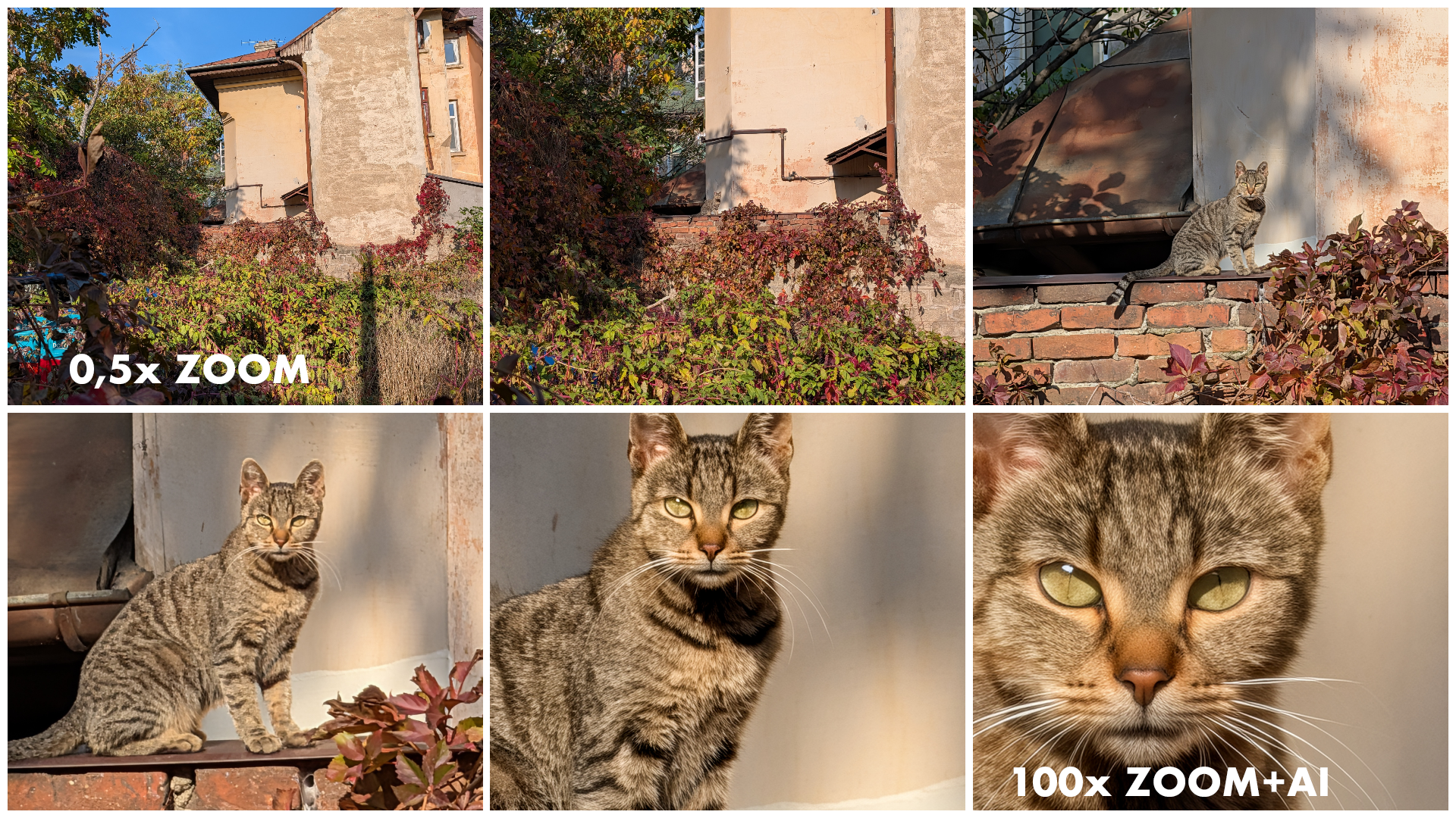 colaj foto pixel cats2 copy