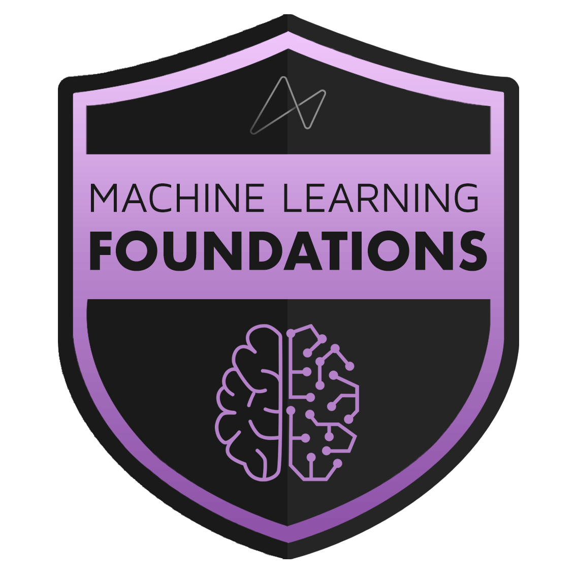 Data Science & Machine Learning Foundations