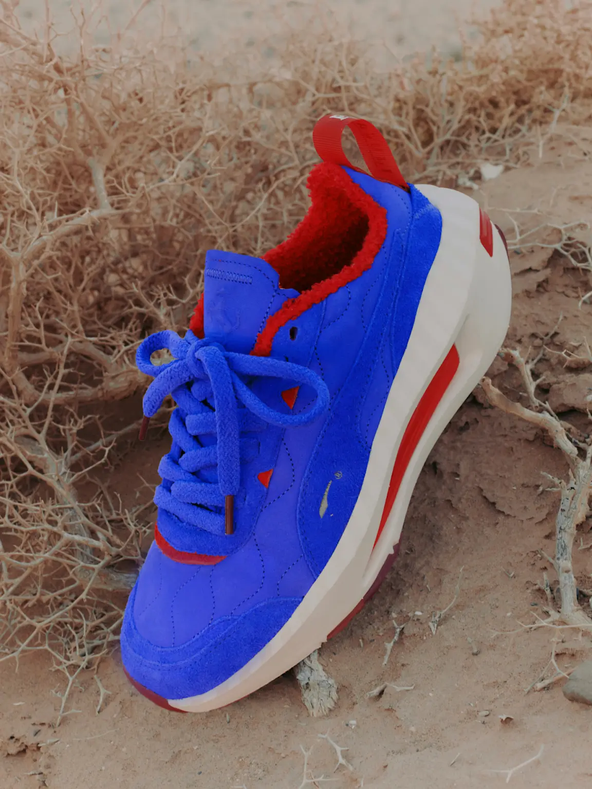 nike ferrari edition shoes