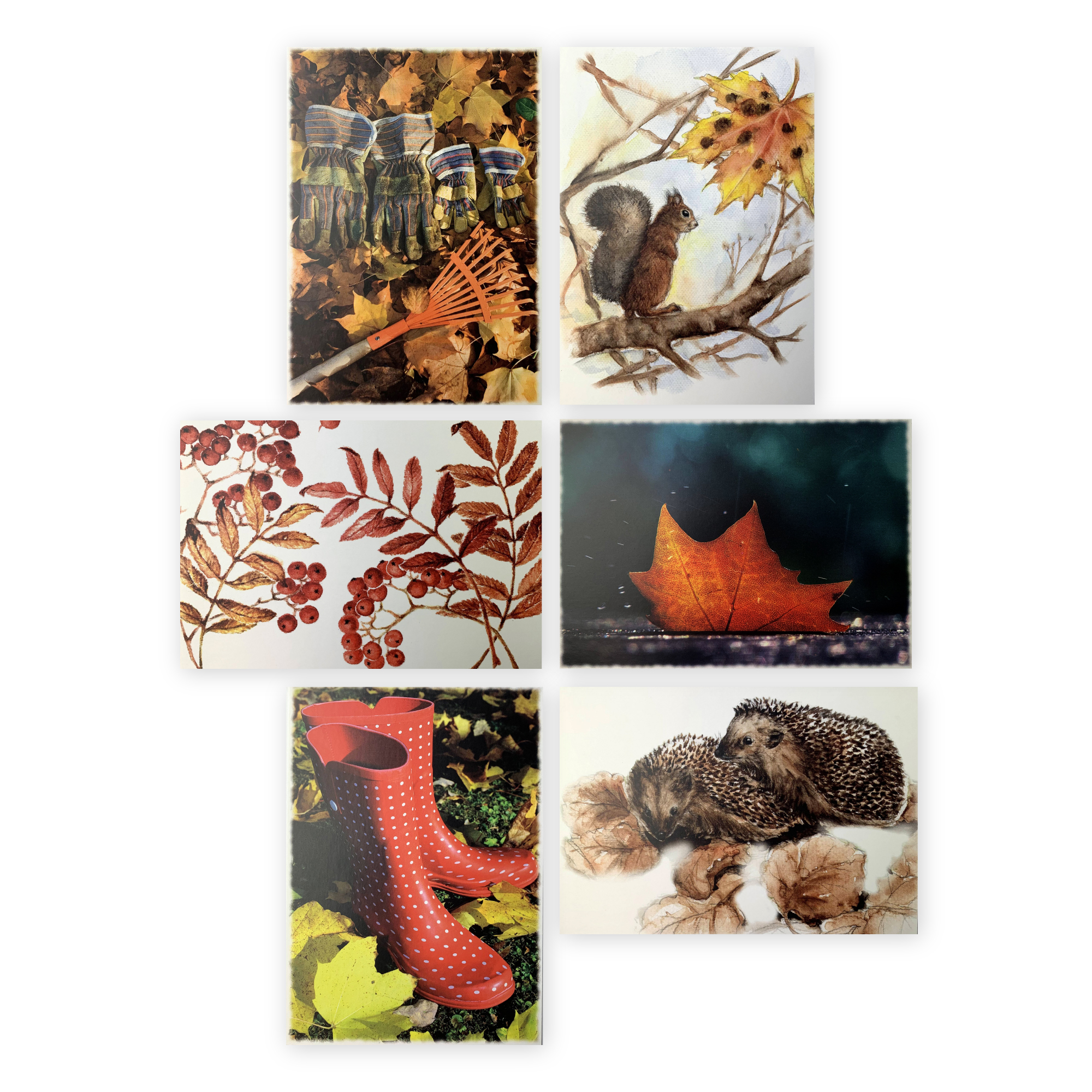 Postcard Pack - Autumn B