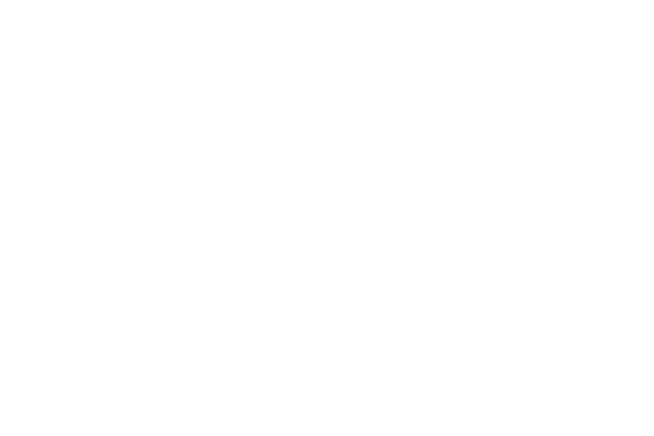 Sguang logo