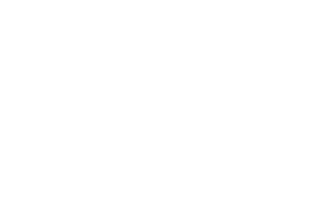 Riolab logo