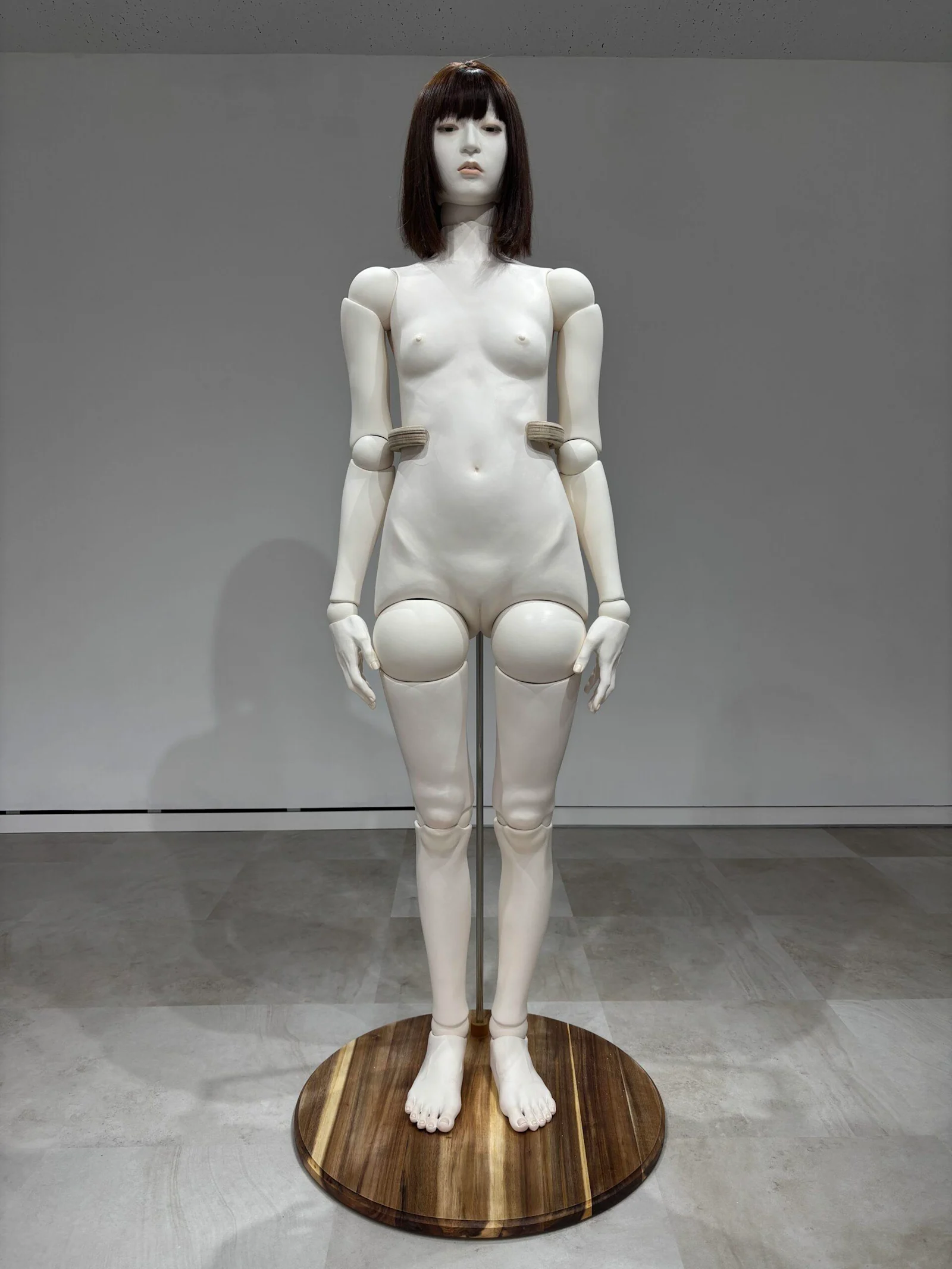 佐藤来夢《在り処》