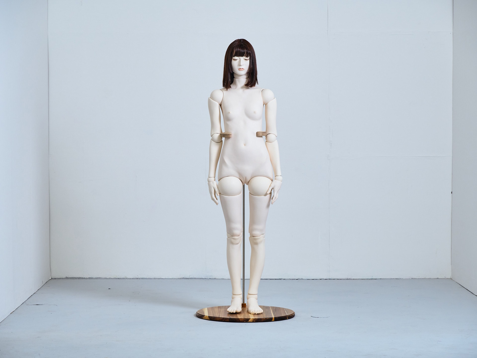  Arika (Where One Belongs) - View 1