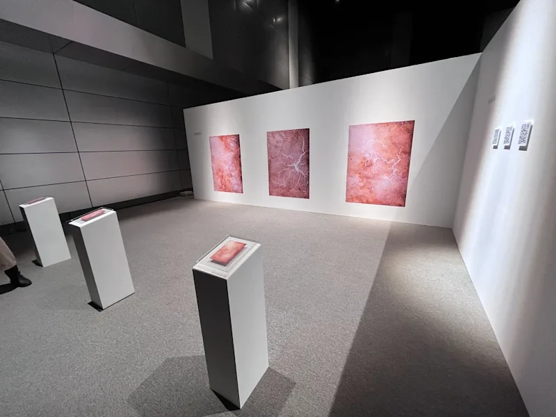 大越円香が探求するiPhoneが示す世界