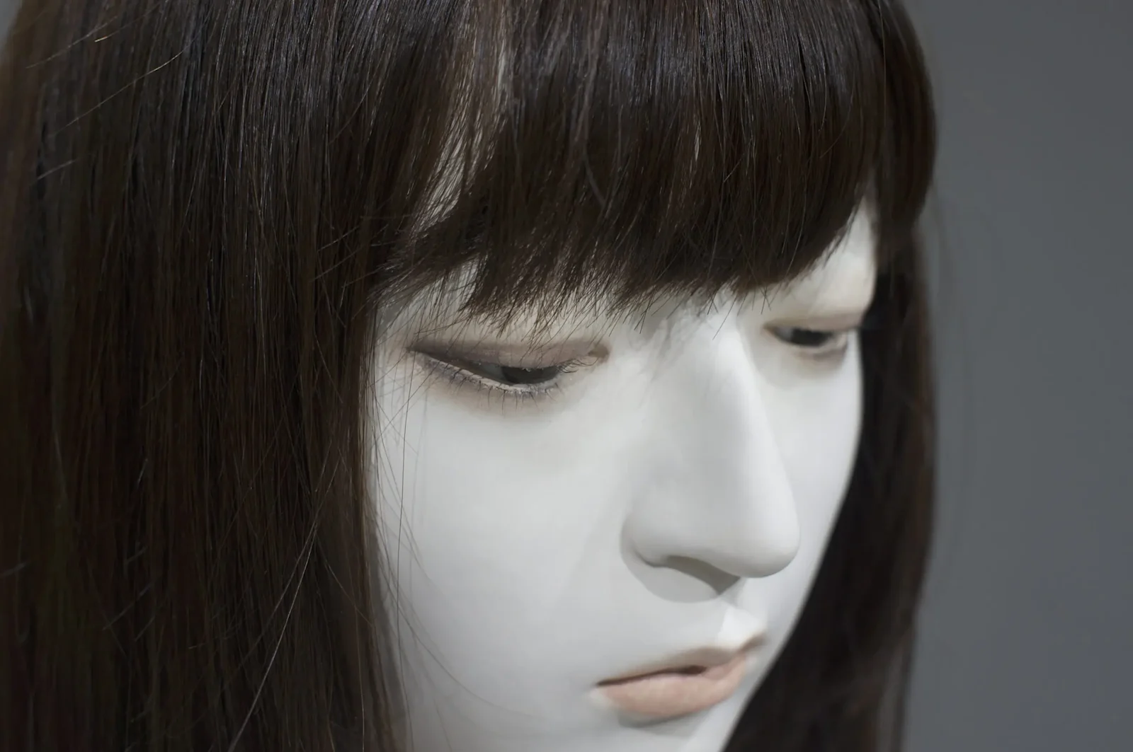 still life with innocence