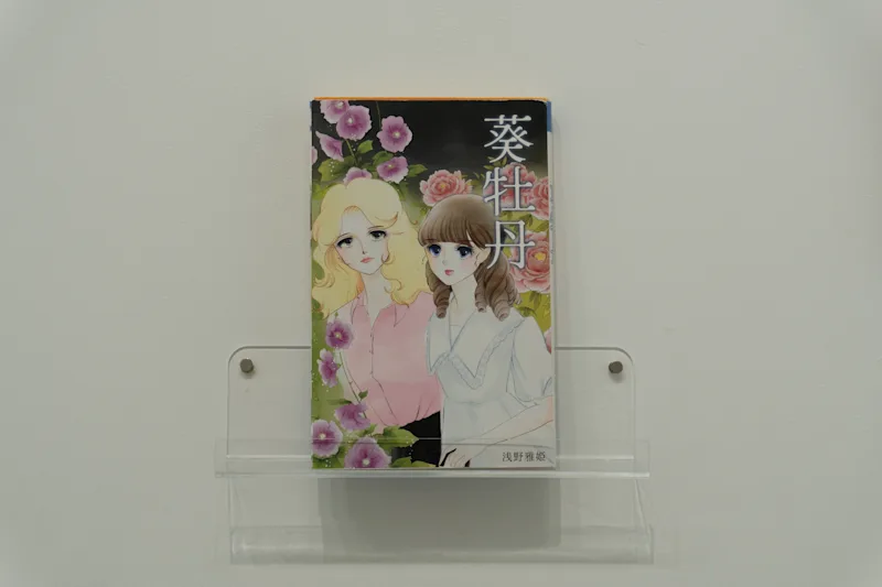 葵牡丹 - 表示 5