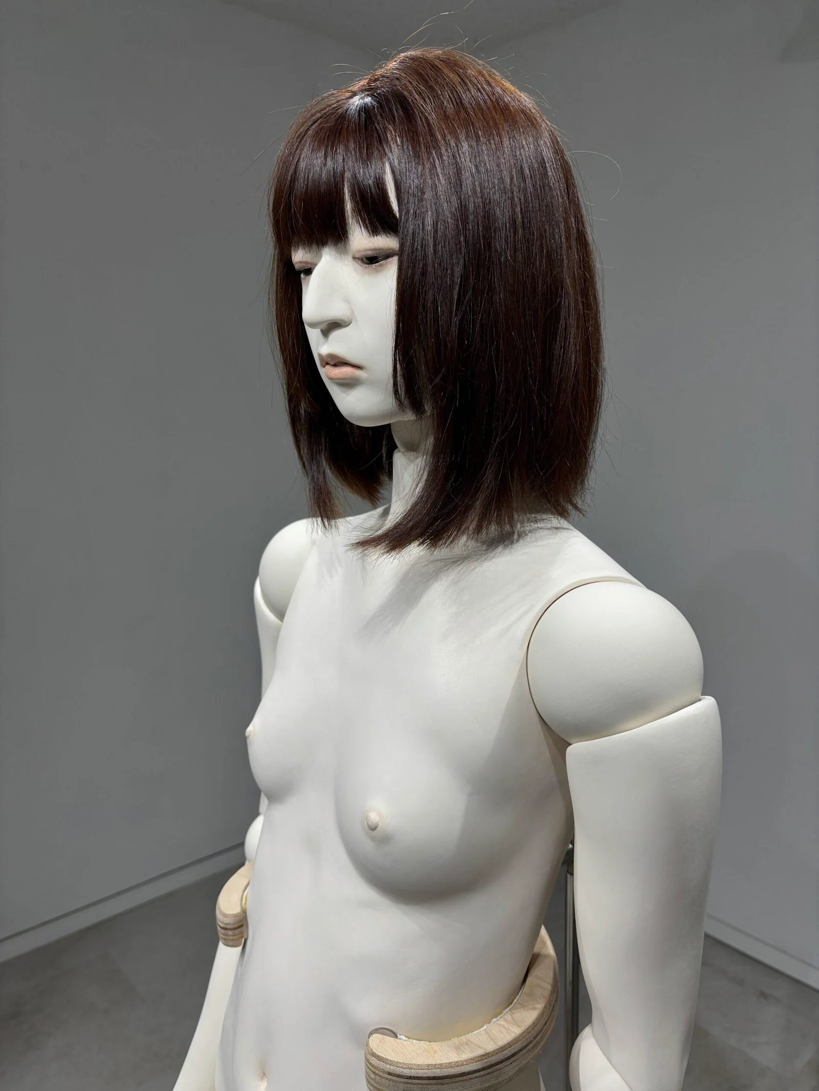 佐藤来夢《在り処》