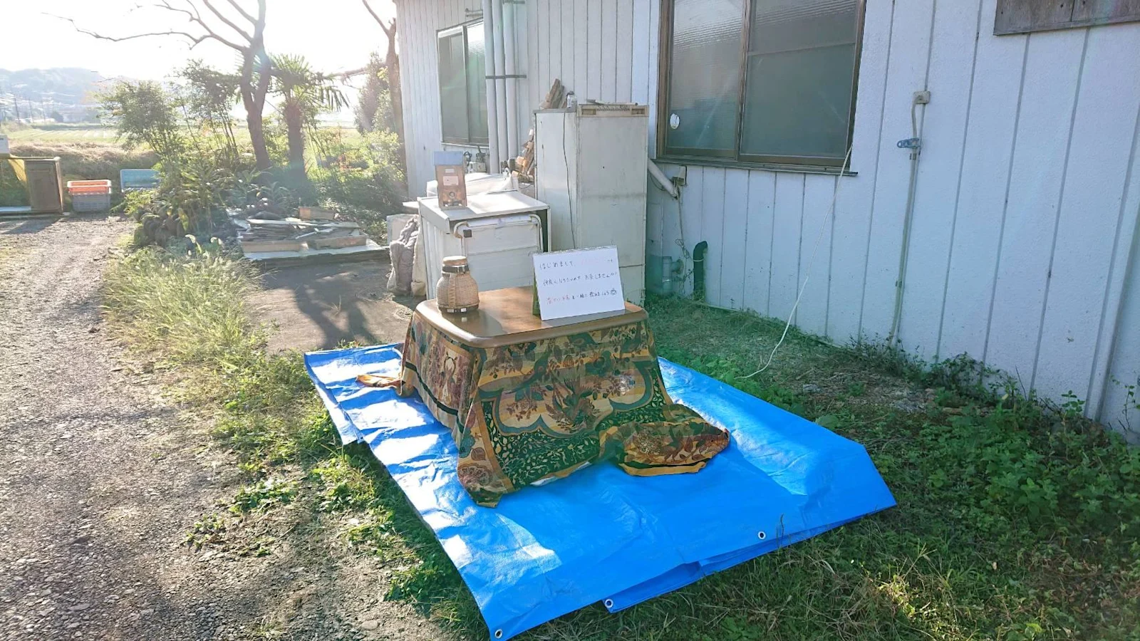 nishimoto-haruka-performance-1-01