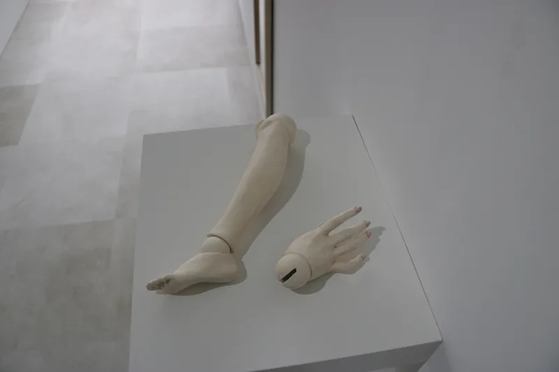 手と足 - 表示 2