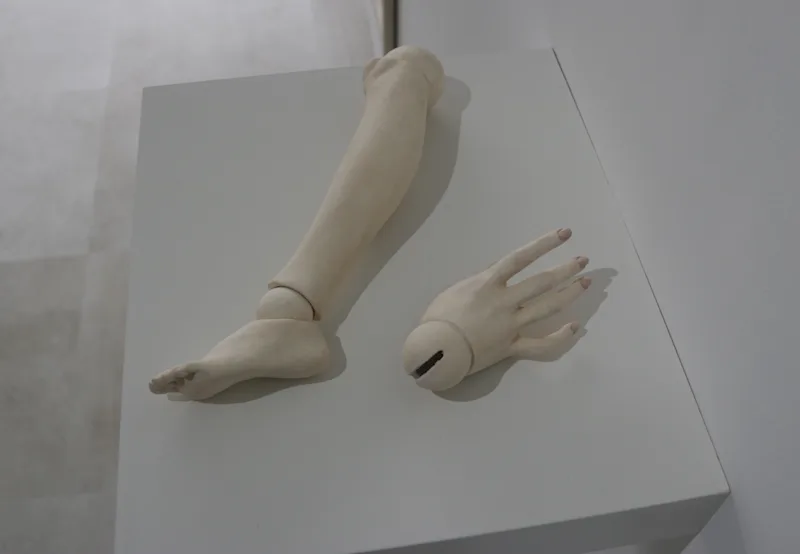 手と足 - 表示 2