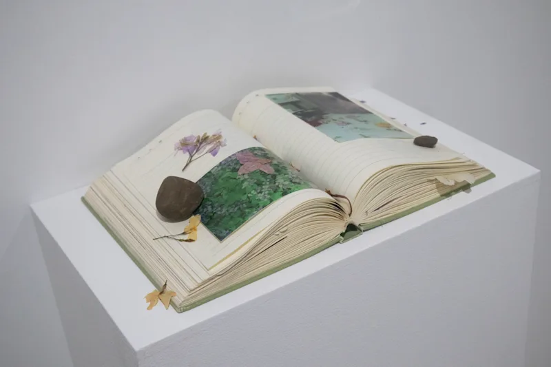 庭について - 表示 2