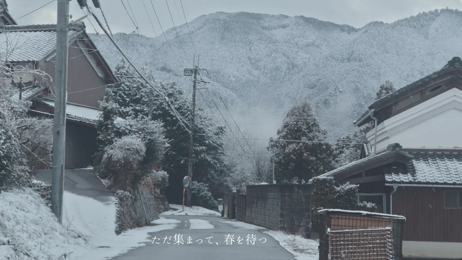 ただ集まって春を待つ