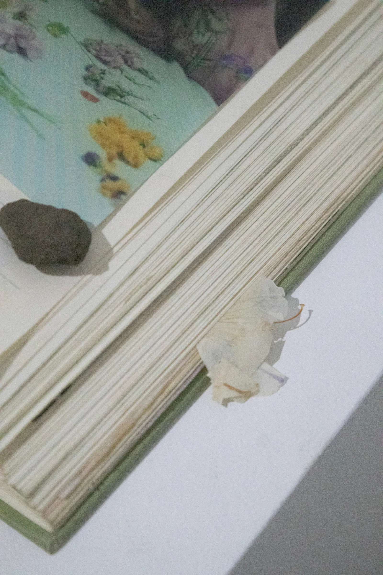 Listening to the Garden Installation View