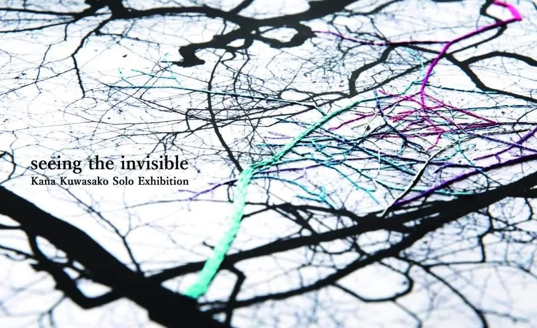 seeing the invisible