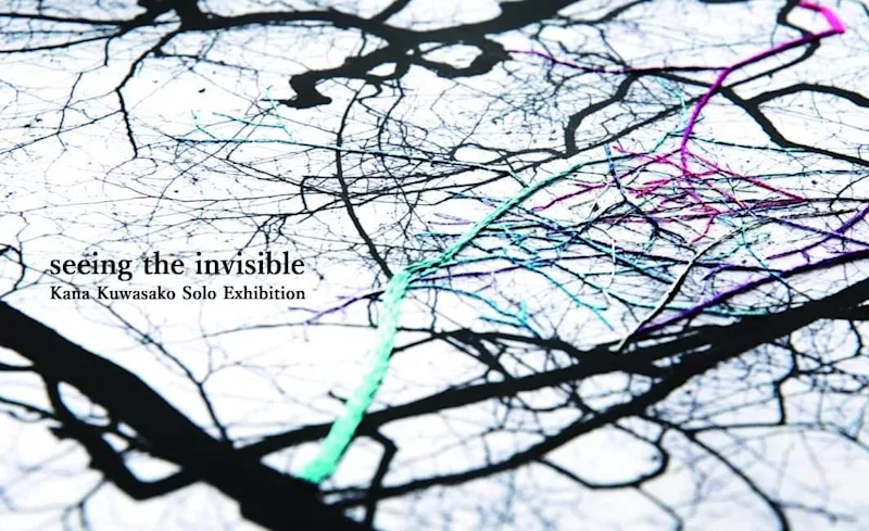 seeing the invisible