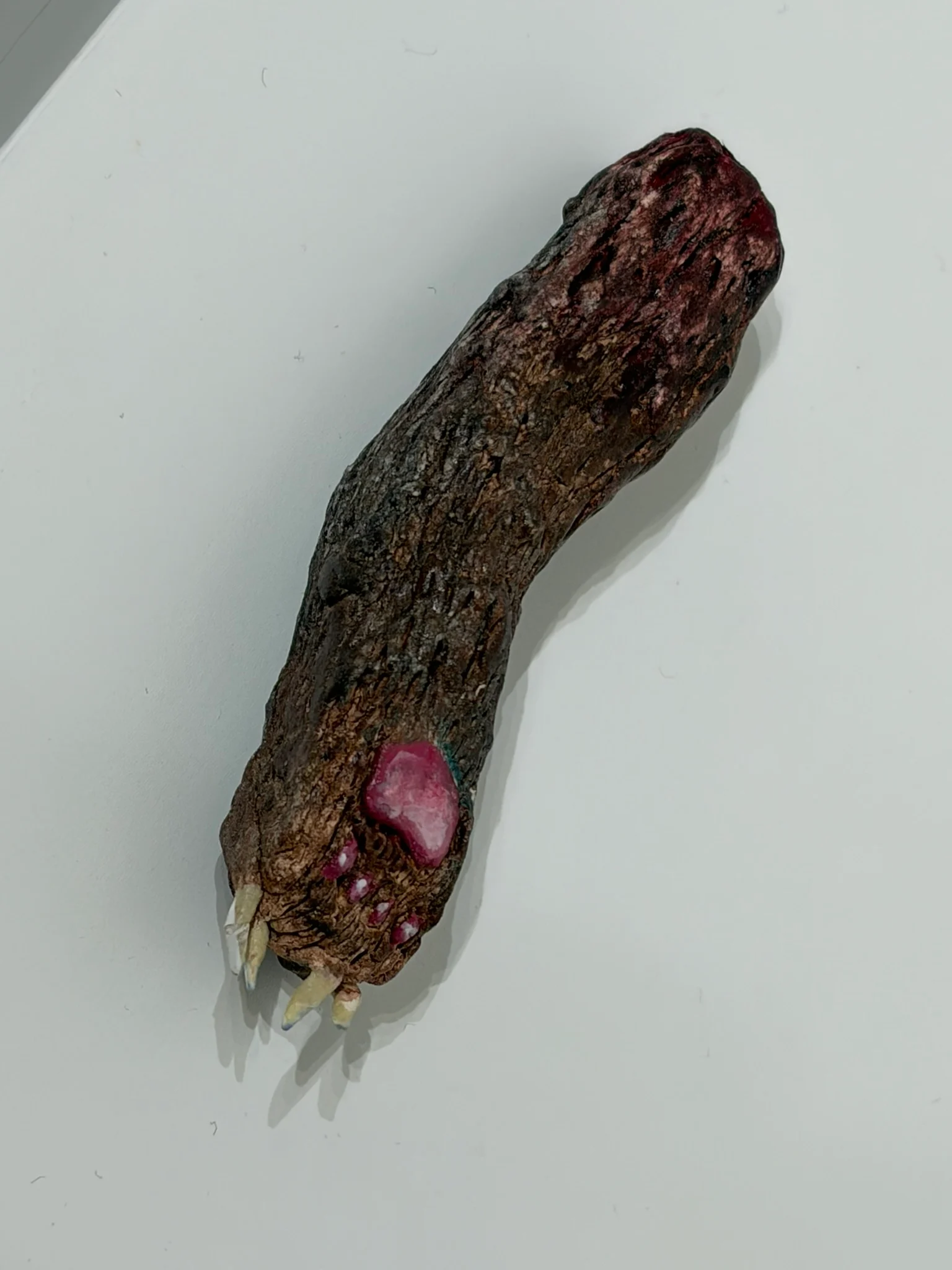 熊の手