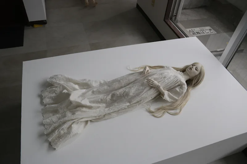 月の見えぬ夜 - 表示 5