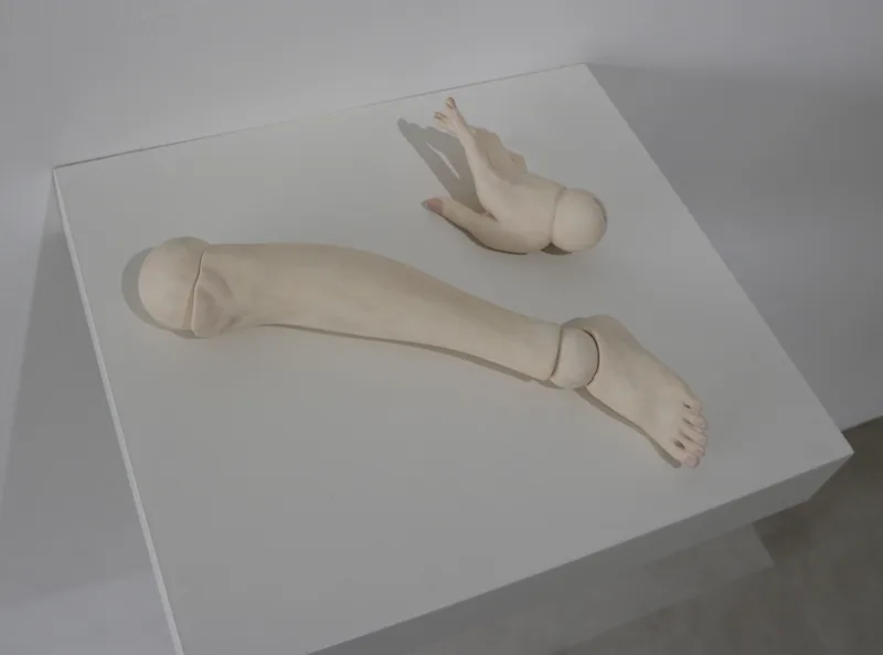 手と足