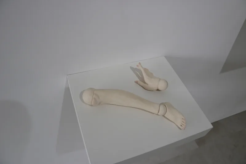 Te to Ashi (Hand and Leg)