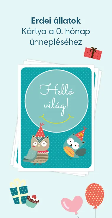Nyomtatható kártya kisbabád születésének megünneplésére. Vidám motívumokkal – például két bagollyal –, valamint az alábbi ünnepi felirattal: Helló világ!