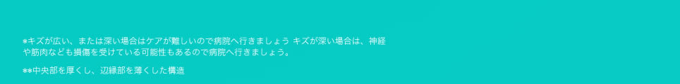 注意事項