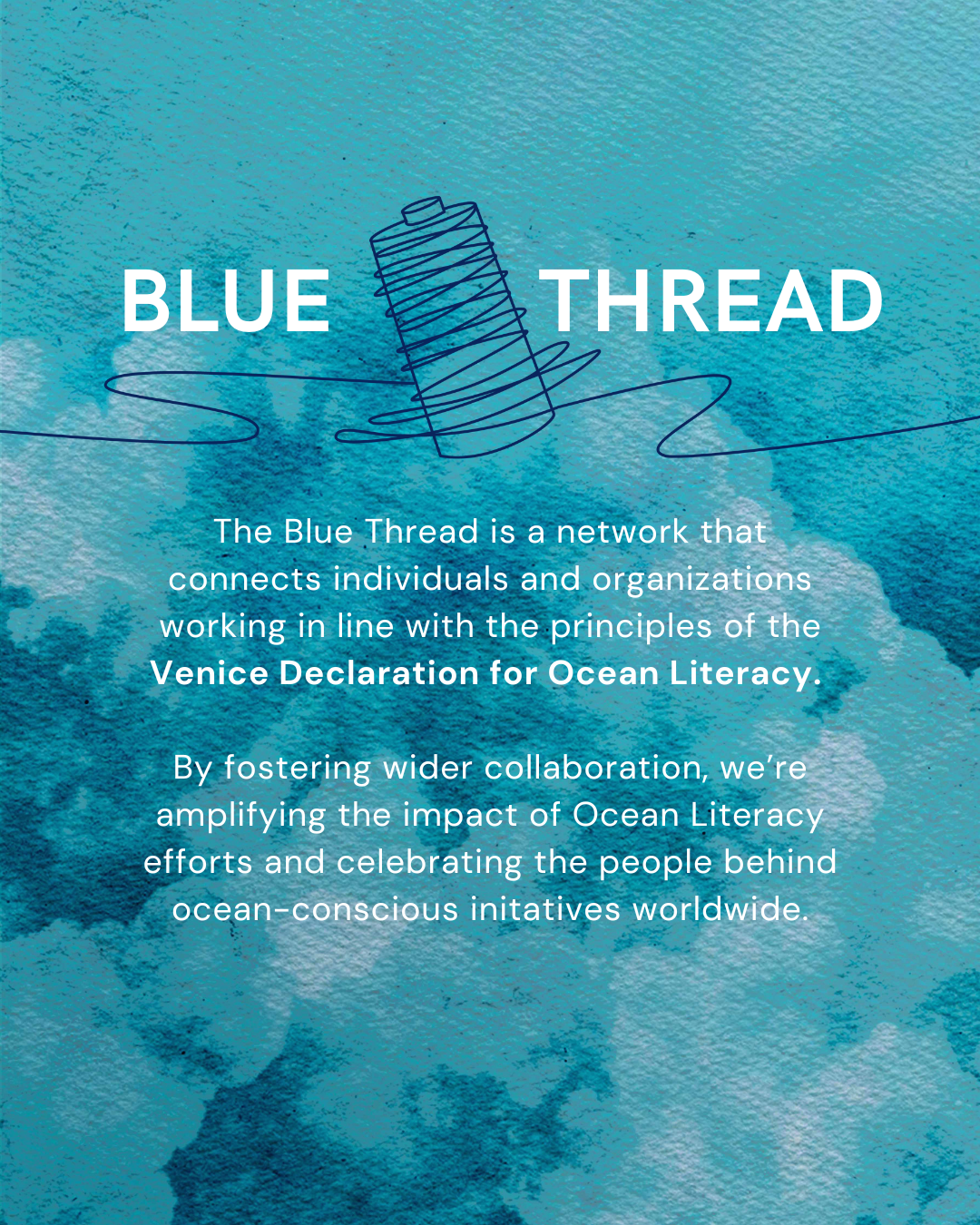 Amiguitos del oceano