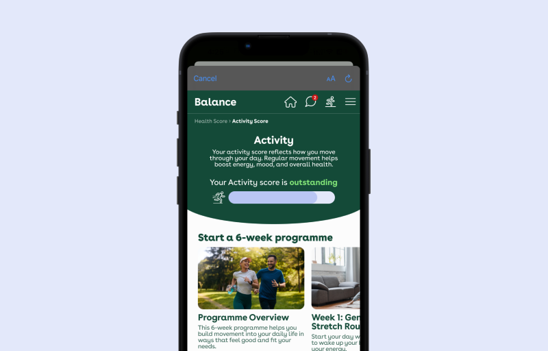 viewing nib Balance program in nib App