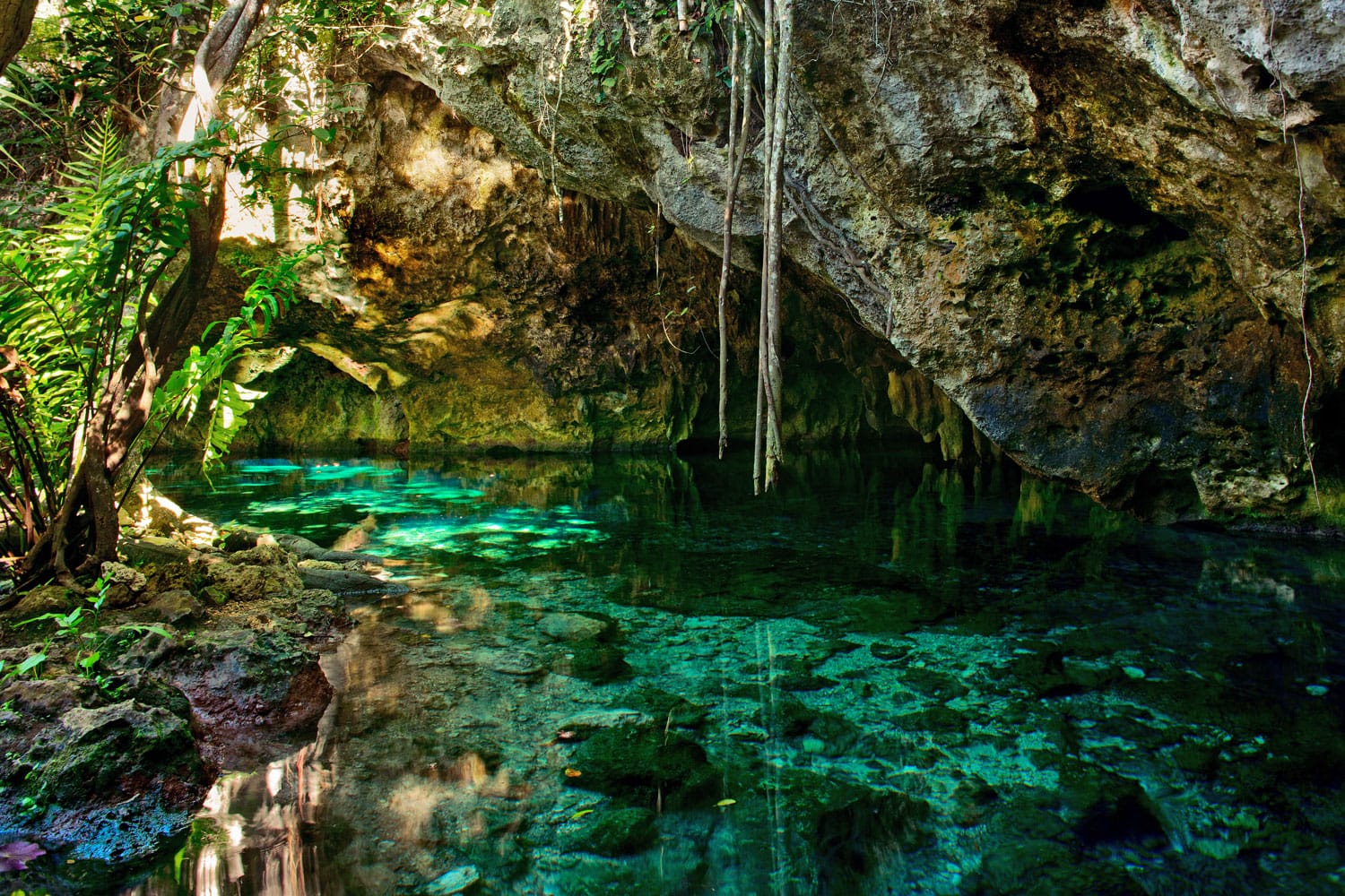 Gran Cenote, el rey subterráneo de Quintana Roo - Revista Vía México