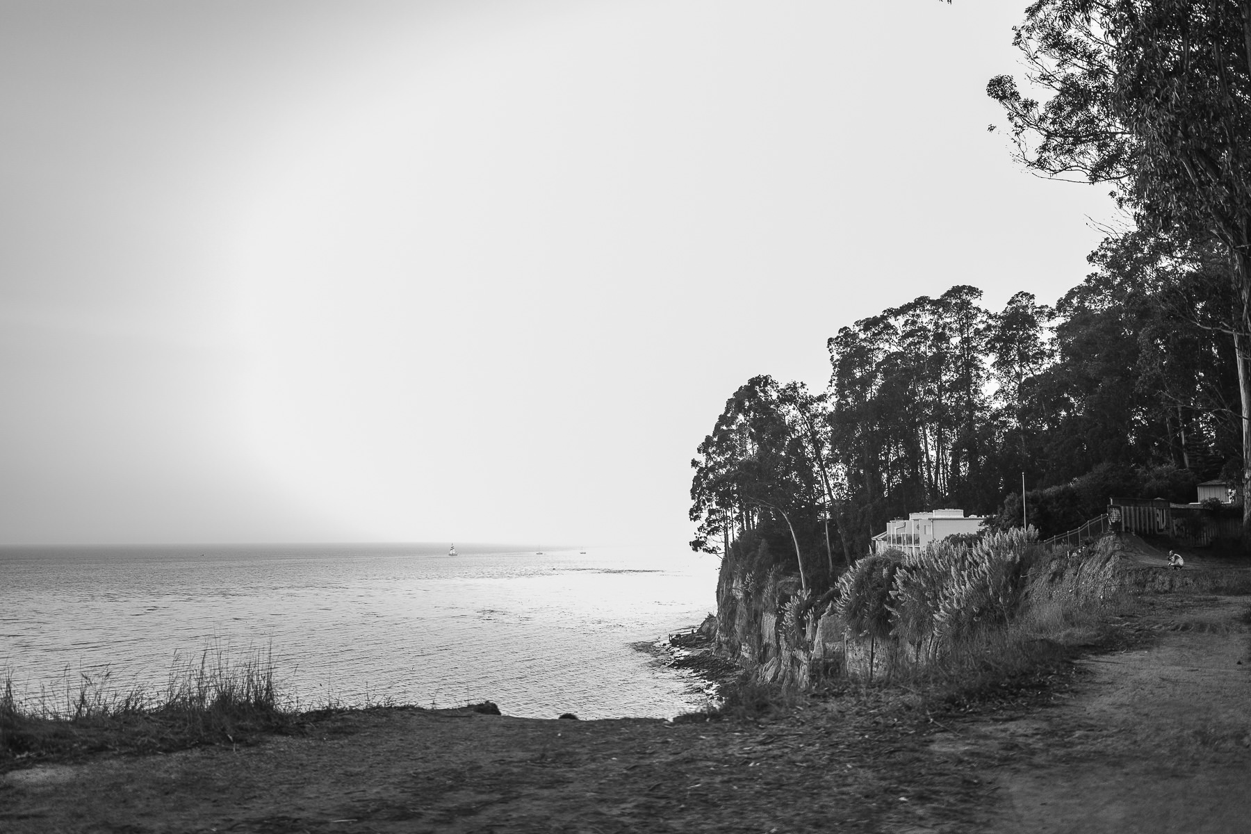 nestldown-micro-wedding-elopement-santa-cruz-sunset-112