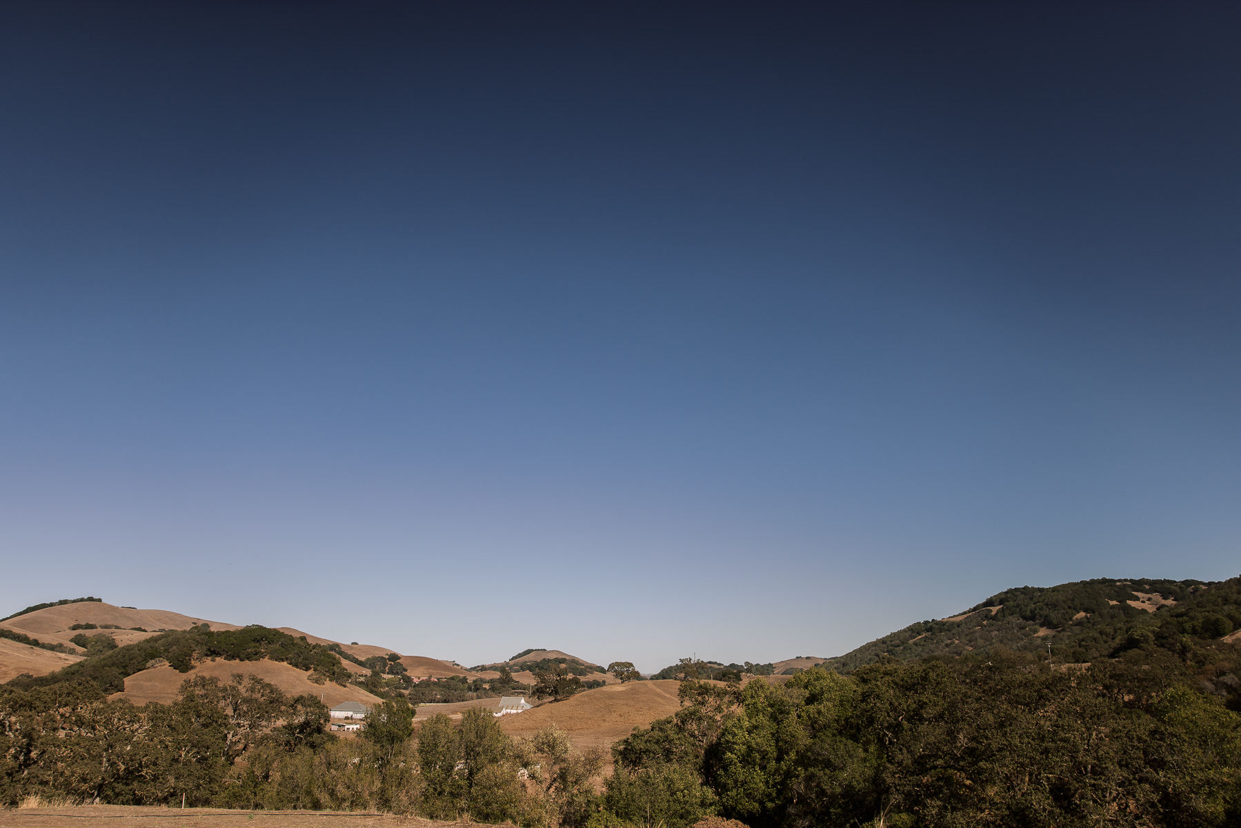 Monkey-ranch-petaluma-golden-hills-wedding-39