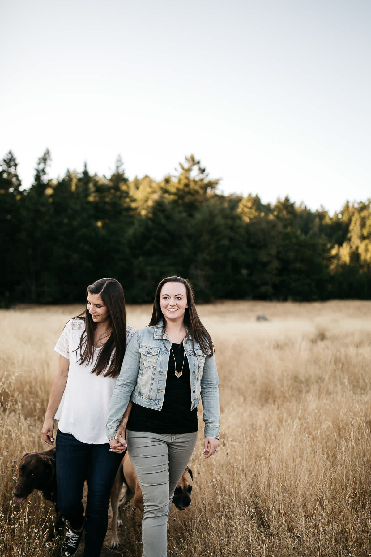 mt-tam-sunset-engagement-session-with-boxer-lab-dogs-20