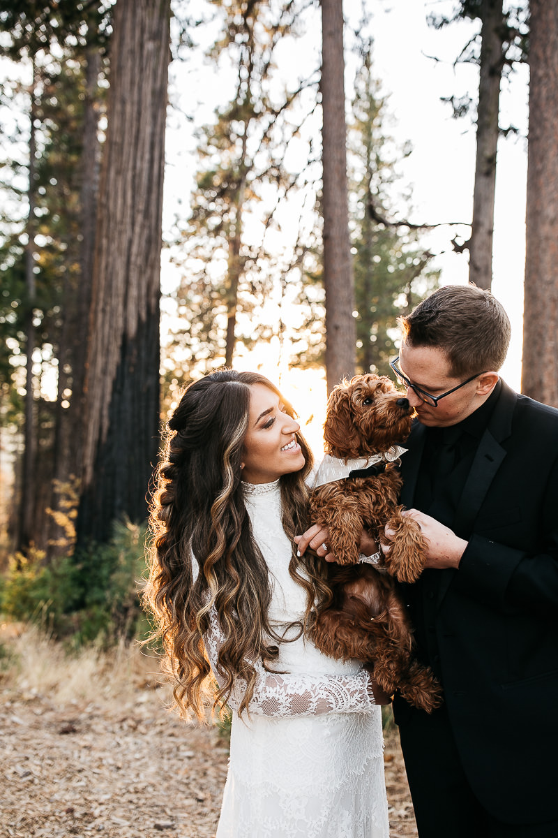 yosemite-rush-creek-fall-wedding-goldendoodle-75